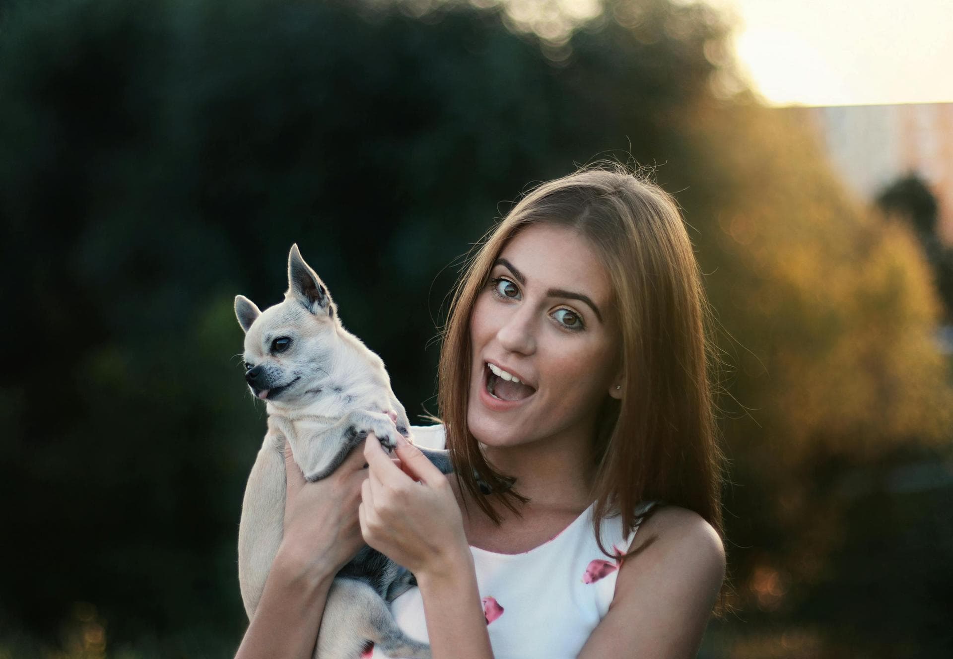 Dog Euthanasia Put Down Prices in Dagenham